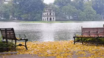 Mùa thu, chưa thấy mùa thu