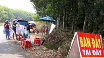 Xử lý nghiêm hành vi đầu cơ, lướt sóng, tạo giá ảo về đất