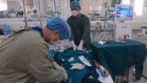 Nữ bệnh nhân mắc cúm A phải can thiệp ECMO