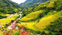Du lịch qua những miền di sản ruộng bậc thang Hoàng Su Phì 2022