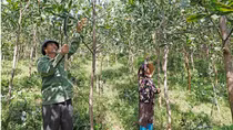 Không để ai bị bỏ lại phía sau vì thiếu vốn
