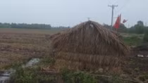 5 người thương vong sau chầu nhậu tại chòi canh đất rừng