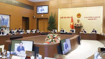 Bố trí vốn phải tập trung, không dàn trải
