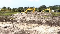 Thuê cần cẩu san lấp đất nông nghiệp trái phép
