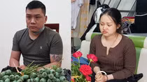 Cặp vợ chồng thu gom quả thuốc phiện rồi rao bán trên facebook