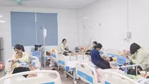 Nỗi lo với chủng cúm độc lực cao