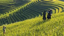 Nghệ thuật đưa địa danh vào thơ