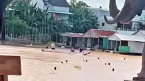 Bộ Ngoại giao thông tin vụ người Việt chạy khỏi casino ở Campuchia