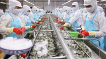 Xuất khẩu thủy sản đạt kỷ lục, lần đầu đạt 1 tỷ USD/tháng