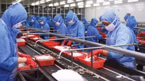 Xuất khẩu tăng tốc khi tận dụng hiệu quả các hiệp định thương mại