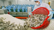 Xuất khẩu thủy sản của Việt Nam chạm mốc 1,5 tỷ USD trong 2 tháng đầu năm