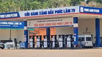 7 doanh nghiệp nhập khẩu xăng dầu bị rút giấy phép sẽ được hoạt động trở lại