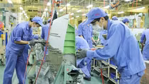 Doanh nghiệp chủ động là yếu tố quan trọng để thích ứng với các FTA
