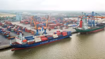 Cần khoảng 1,5 tỷ USD để đầu tư giai đoạn I phát triển đội tàu container phục vụ xuất khẩu