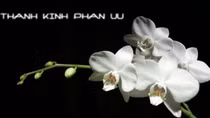 Lời chia buồn