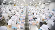 Xuất khẩu vào thị trường CPTPP khá ấn tượng