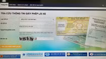 Lại "mọc" ra các trang web giả mạo tra cứu Giấy phép lái xe