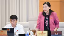 Buộc thành thạo tiếng Việt sẽ hạn chế bác sỹ giỏi nước ngoài đến Việt Nam