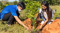 “Triệu cây xanh cho cuộc sống bừng sáng” - từ hành động nhỏ tới mục tiêu phát triển bền vững