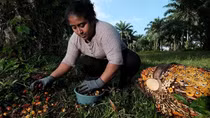 Honduras, thiên trường ca của đất và máu