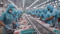 Nhiều lý do khiến doanh nghiệp thiếu đơn hàng