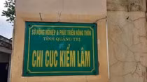 Chi cục trưởng Kiểm lâm Quảng Trị bị cách hết chức vụ trong Đảng