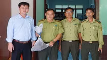 Đi làm vườn bắt được 2 con tê tê, người dân giao nộp kiểm lâm