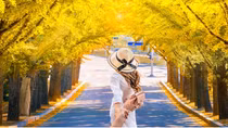 Vi vu xứ Hàn ngắm lá phong mùa thu với thẻ tín dụng VIB