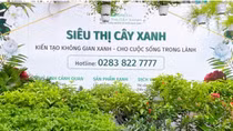 Phát triển bền vững hướng đến kinh tế xanh