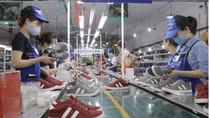 Doanh nghiệp đã tận dụng hiệu quả ưu đãi thuế quan theo các FTA