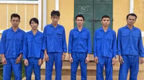 Thuê ô tô trộm hơn 3 tạ "tiểu hổ" đem bán