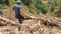 Xử lý nghiêm vụ đất rừng bị san ủi trái phép nhưng xã không biết