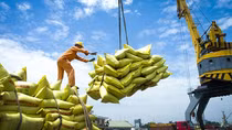 Châu Á: Những thách thức hợp tác đa phương