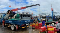 Thừa Thiên Huế lên phương án sơ tán dân tránh bão Côn Sơn, đảm bảo an toàn phòng dịch