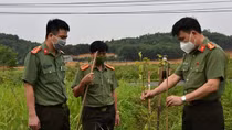 Cảm ơn những điều... bình thường