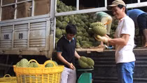 Tính giải pháp căn cơ cho thị trường nông sản Tây Nguyên