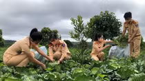 Quân và dân vùng tâm dịch gửi thư cảm ơn Công an Đắk Nông