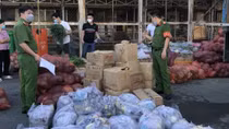 Văn phòng Cơ quan CSĐT Bộ Công an tặng hơn 14 tấn rau, quả cho người nghèo
