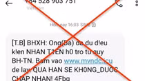 Cảnh báo hành vi lừa đảo hỗ trợ người bị ảnh hưởng dịch COVID-19