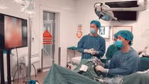 Bệnh viện 19-8 nội soi tán sỏi thận bằng ống soi mềm: Không một vết rạch da!