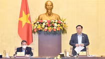 Đánh giá tác động của đại dịch để đẩy nhanh tốc độ phục hồi và tác động đối với nền kinh tế
