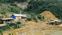 Chuyện mới trên nóc Lâng Loan