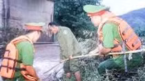 Bắc cầu tạm, tiếp ứng lương thực, thực phẩm cho người dân bị ảnh hưởng bão