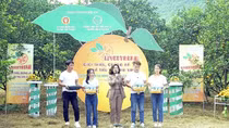 Bài 1: Thương mại điện tử tăng trưởng thần kỳ