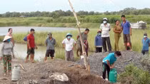 Vì sao một số dự án điện gió ở Sóc Trăng bị làm khó?