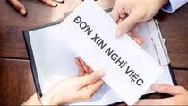 Cho thôi việc Trưởng Phòng Kinh tế TP Nha Trang sau khi xử lý kỷ luật