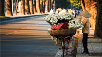 Hà Nội rét về đêm và sáng sớm, ngày nắng hanh; miền Trung và Tây Nguyên mưa to