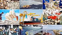 Đưa ra quyết sách kịp thời để phục hồi và phát triển kinh tế - xã hội