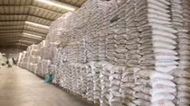 Hơn 4.880 tấn gạo hỗ trợ người dân 3 tỉnh gặp khó khăn do dịch COVID-19