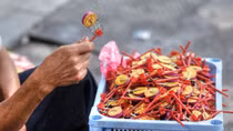 Một chắc ta lại với mình